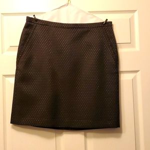 Ann Taylor Skirt